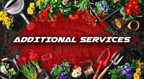 Additional Services Title